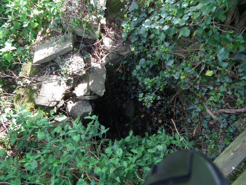 Lismulbreeda Holy Well.  | Clare County Library