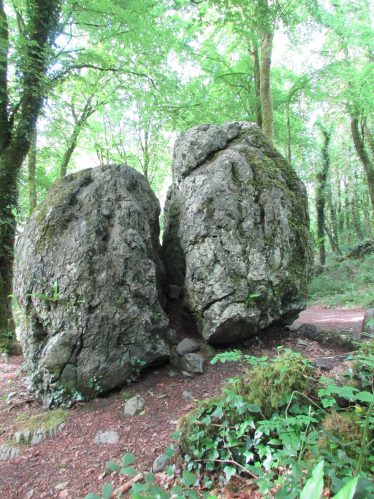 Erratic boulders in Ballybeg Woods | Eric Shaw