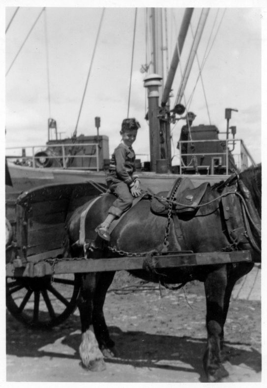 Willem Moojen on a horse at Clarecastle Quay 25 September 1958  | Willem Moojen