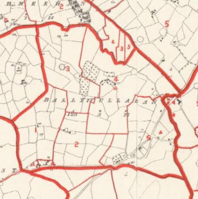 Griffith's map Ballyvullagan | AskaboutIreland -Griffiths
